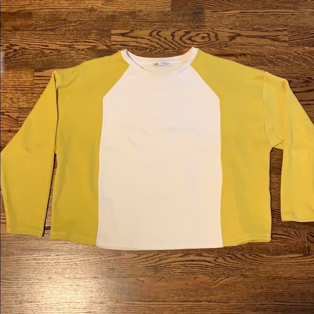 Zara color blocked crew neck sweater